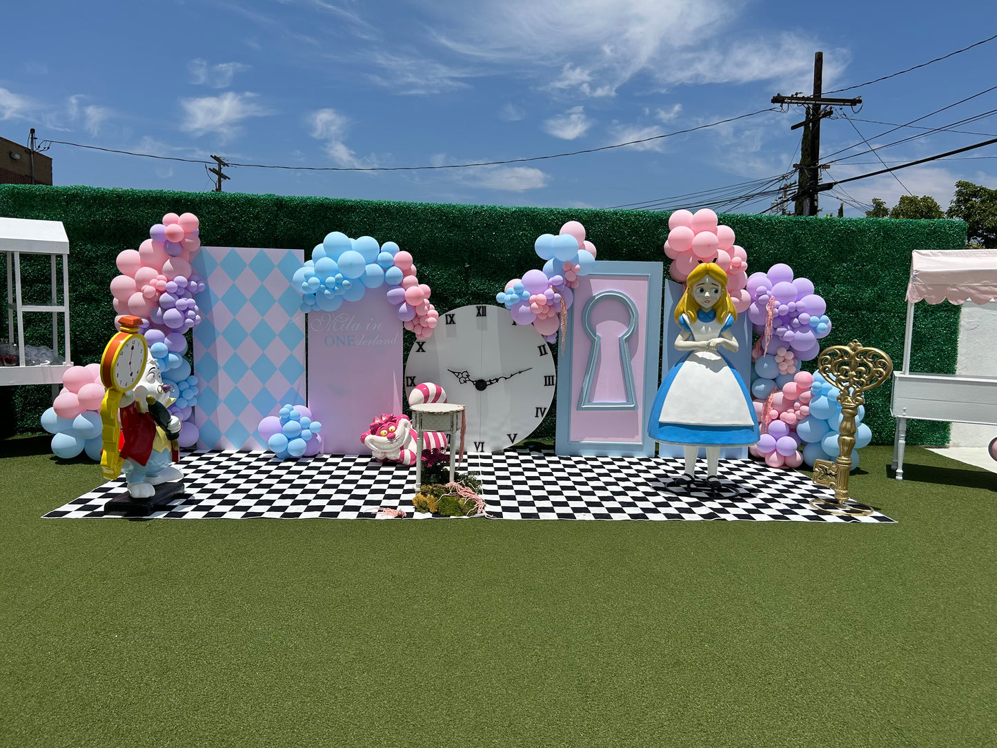 Alice in Wonderland Package