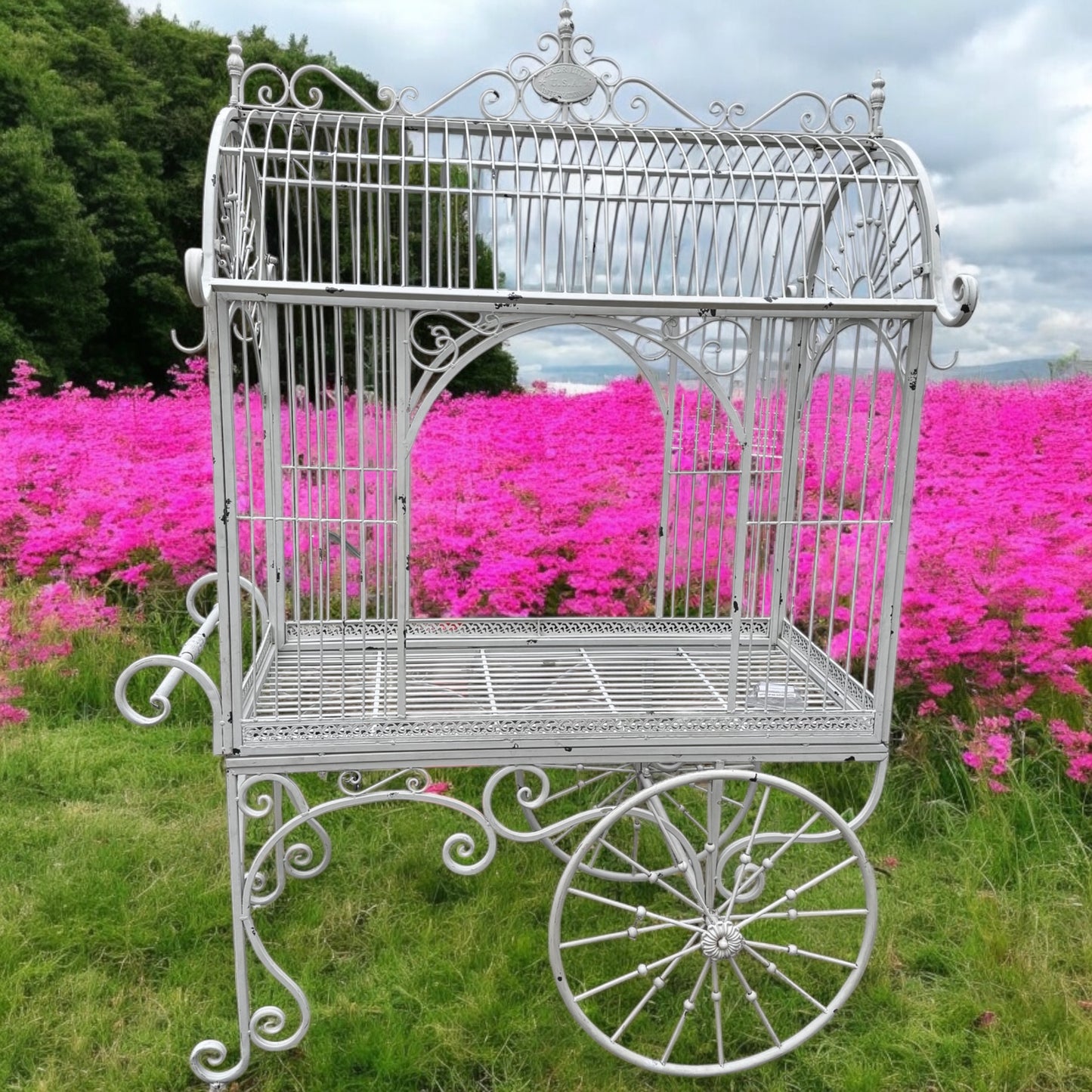 White Antique Cart