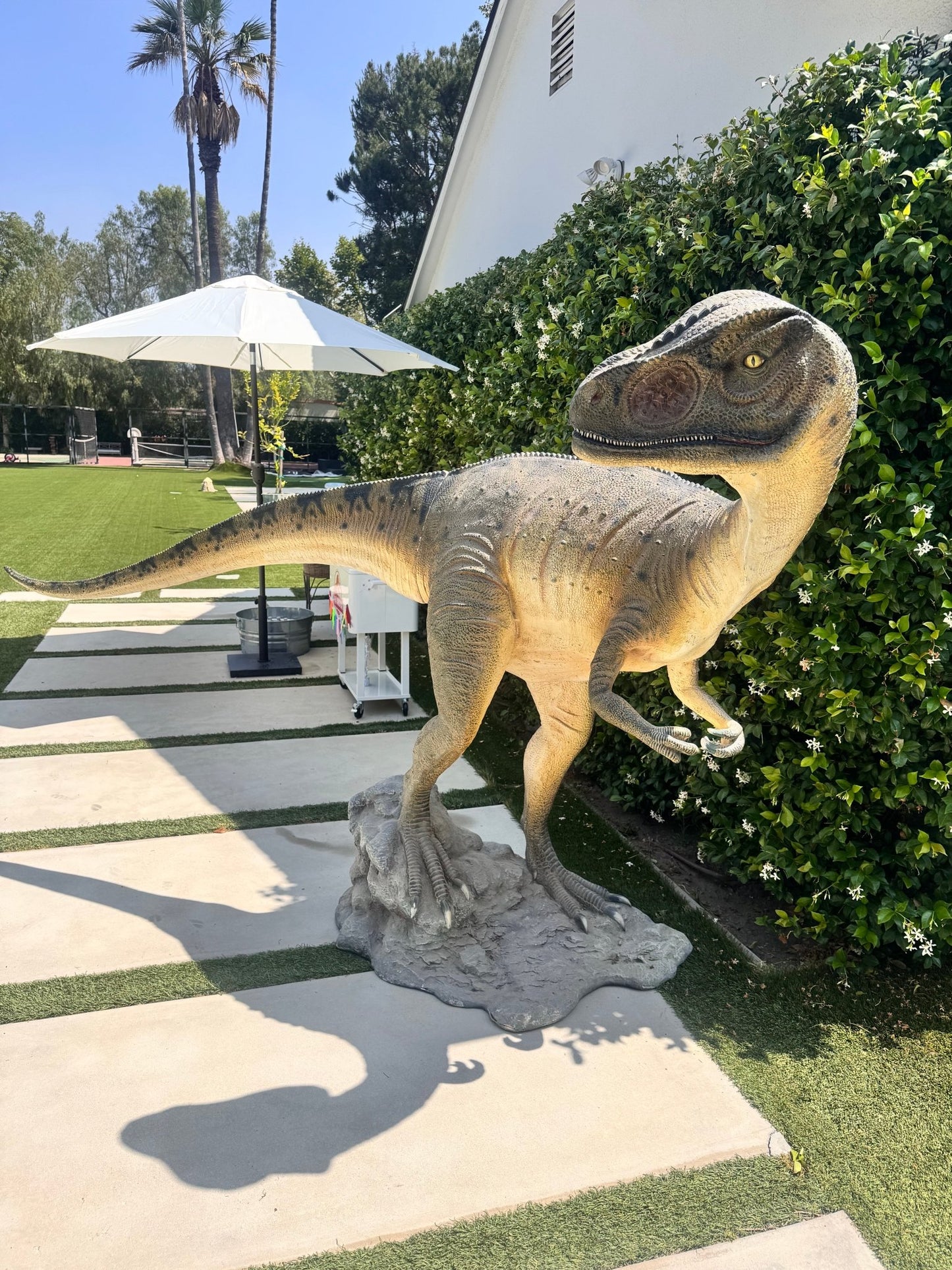 Allosaurus Dinosaur Head Turned - Custom Prop Rentals