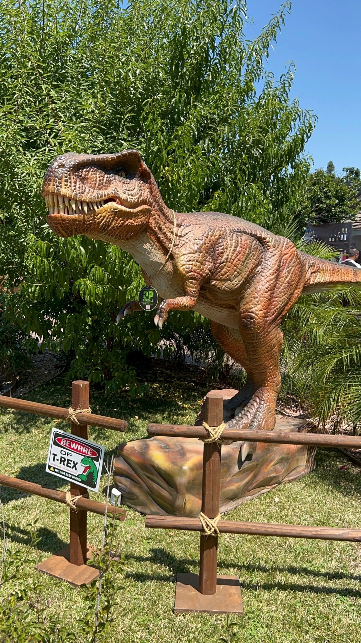 Animated T - Rex Spiky - Custom Prop Rentals