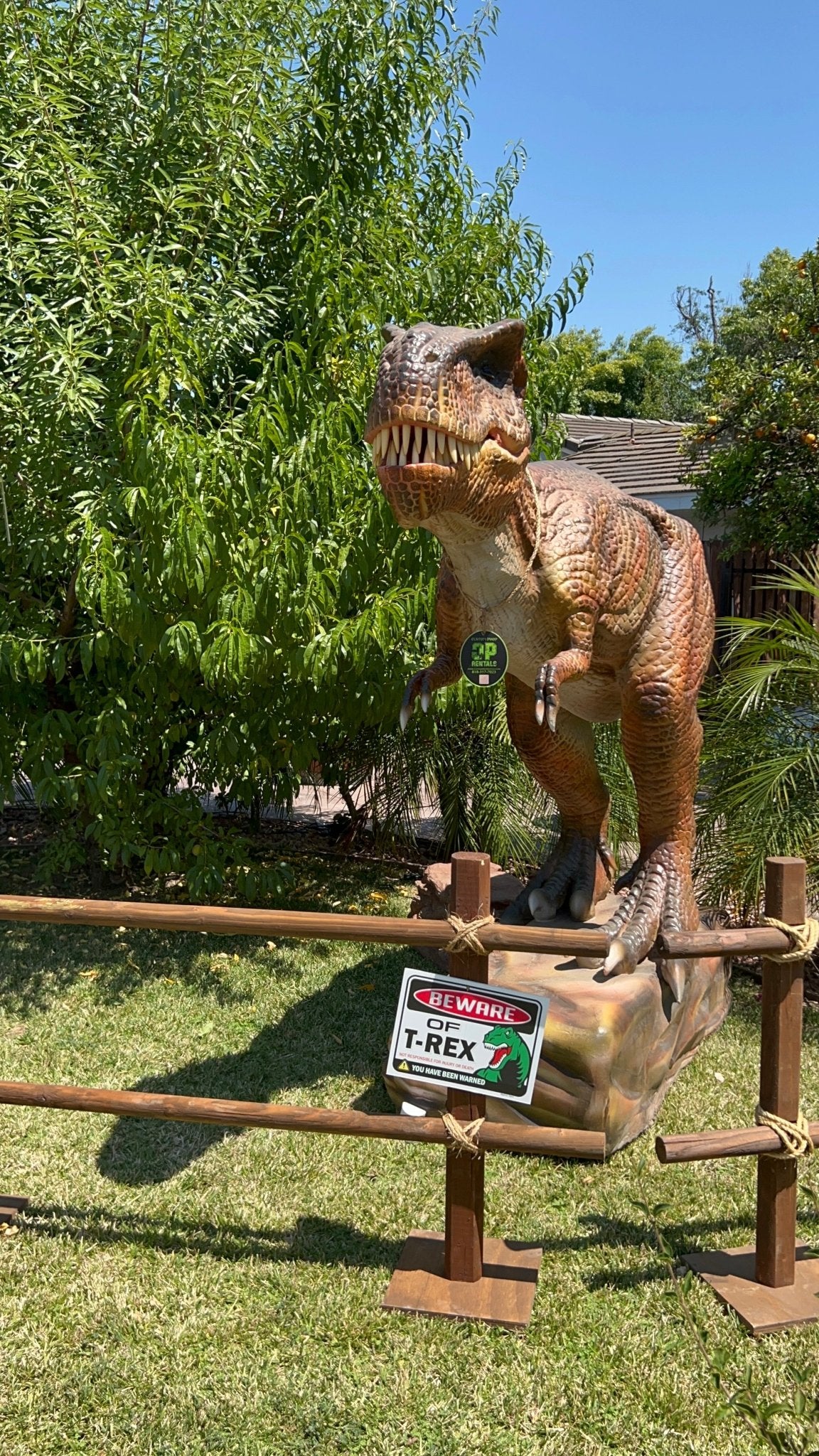 Animated T - Rex Spiky - Custom Prop Rentals
