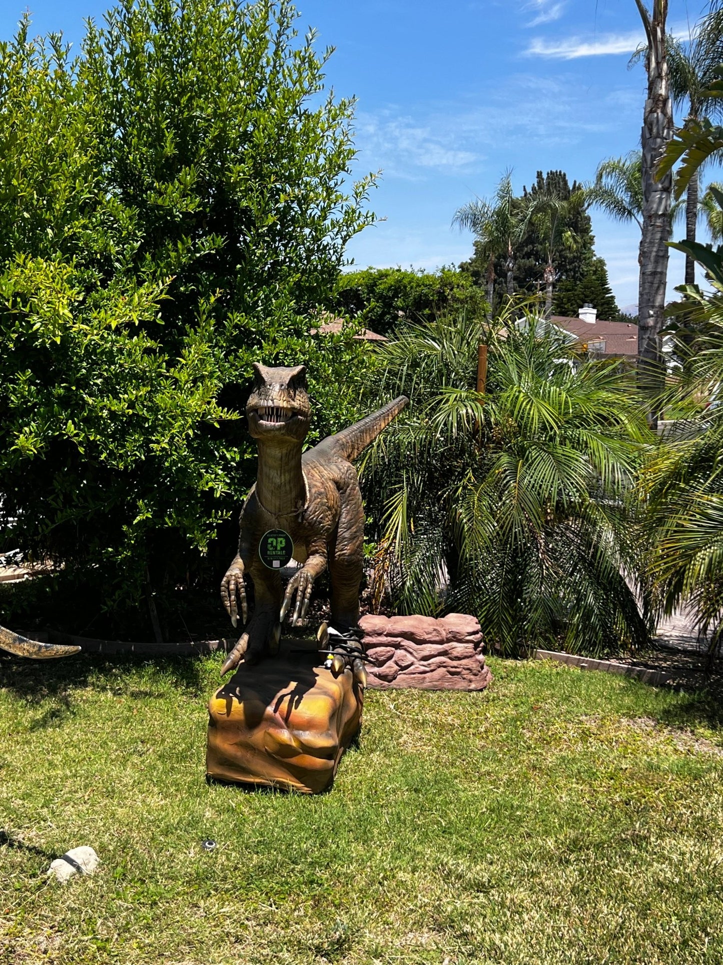 Animated Velociraptor Delta - Custom Prop Rentals