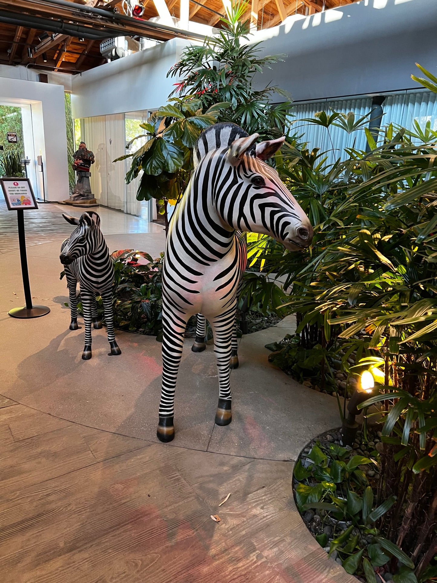 Baby Zebra - Custom Prop Rentals