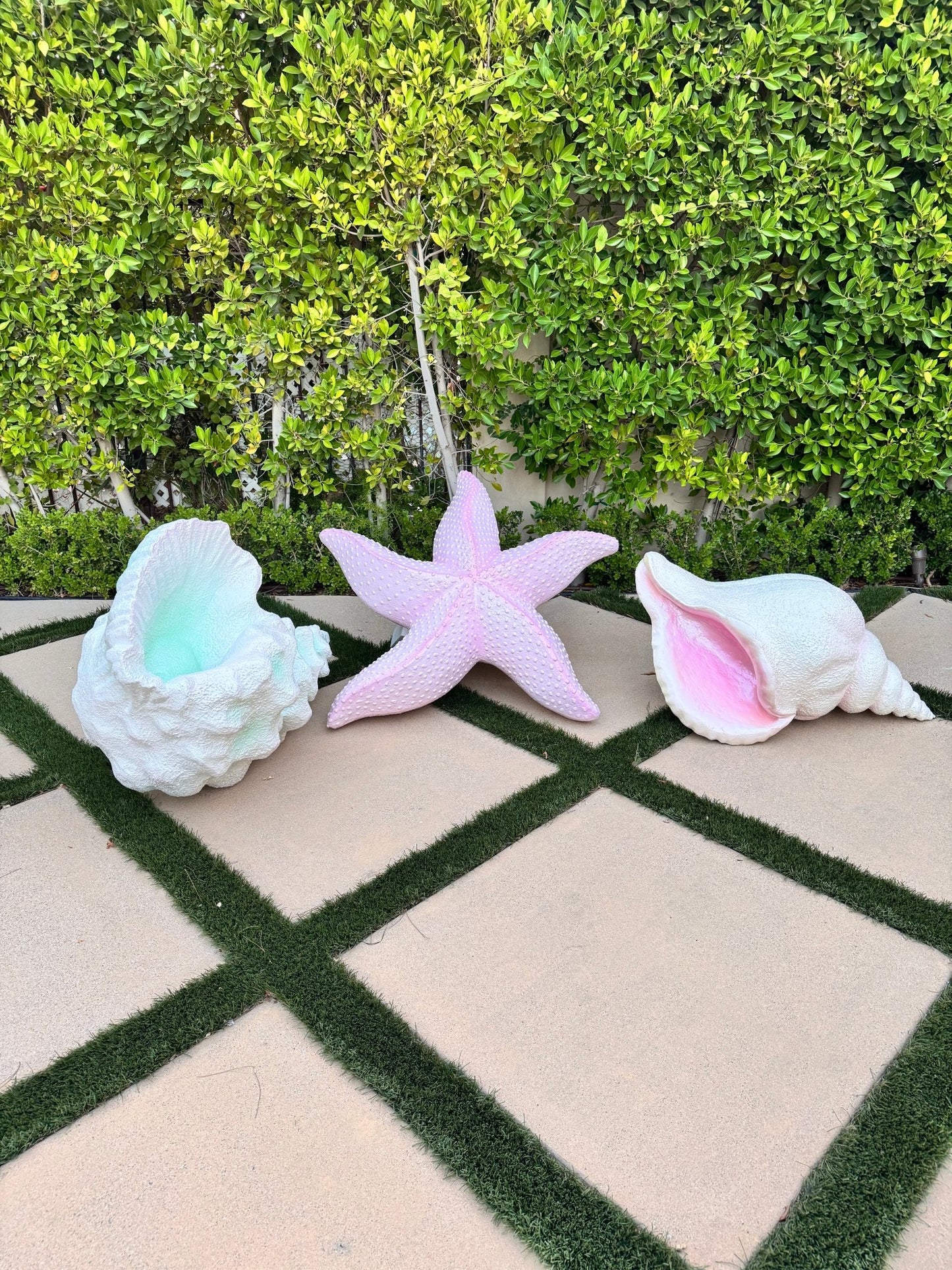 Conch Shell Pink - Custom Prop Rentals