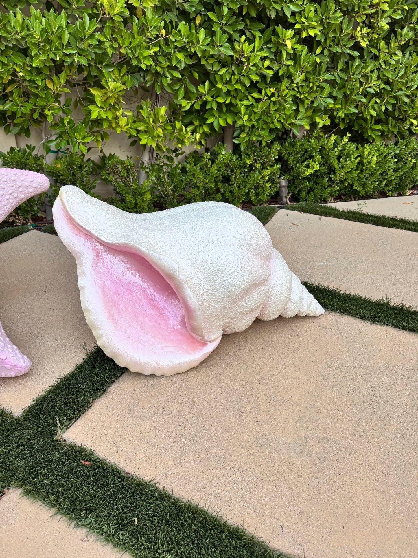 Conch Shell Pink - Custom Prop Rentals