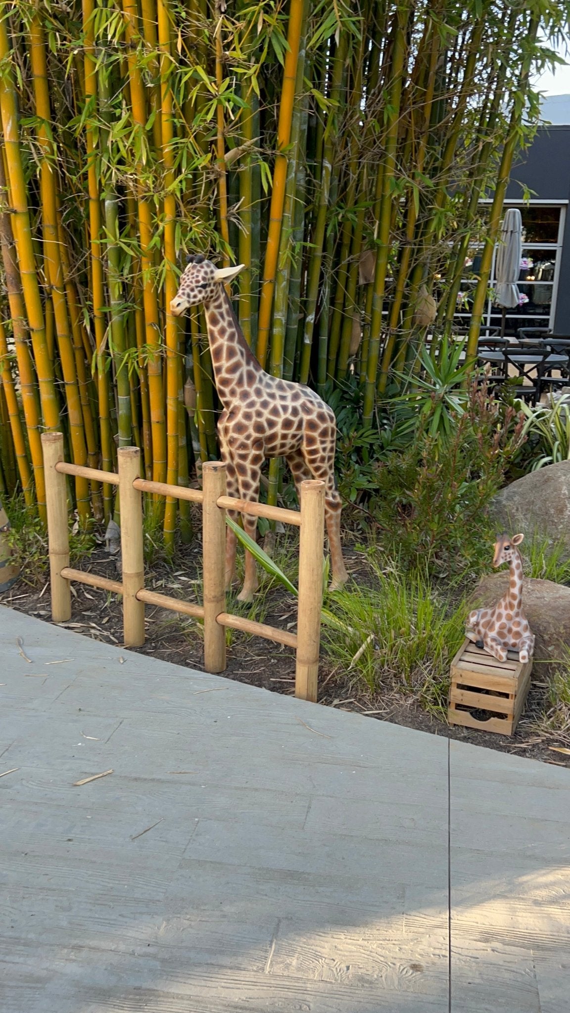 Fence Bamboo 3Ft Height - Custom Prop Rentals
