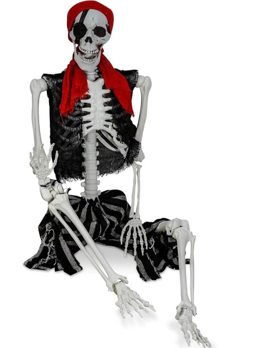 Pirate Skeleton - Custom Prop Rentals
