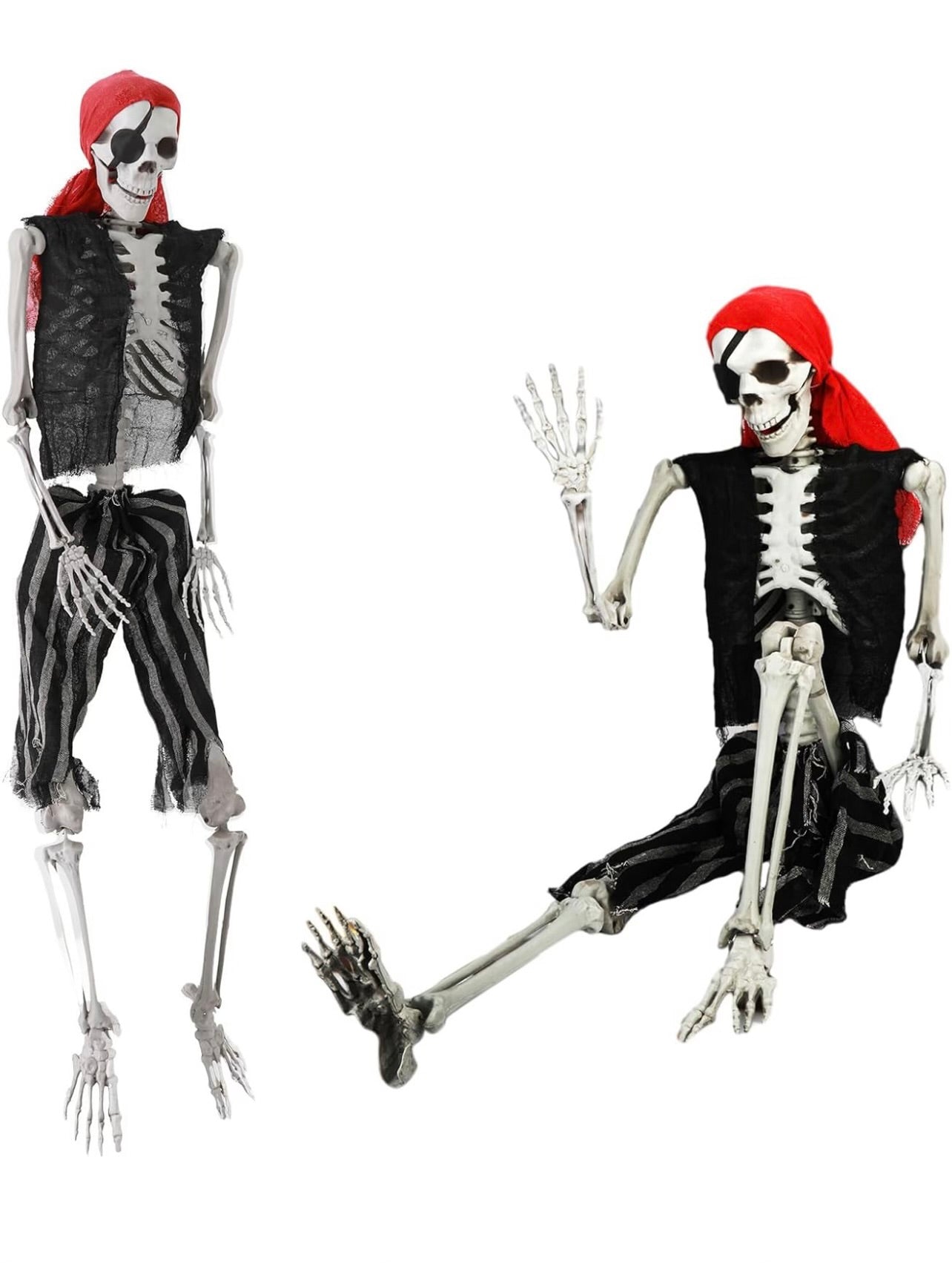 Skeleton Full Body - Custom Prop Rentals
