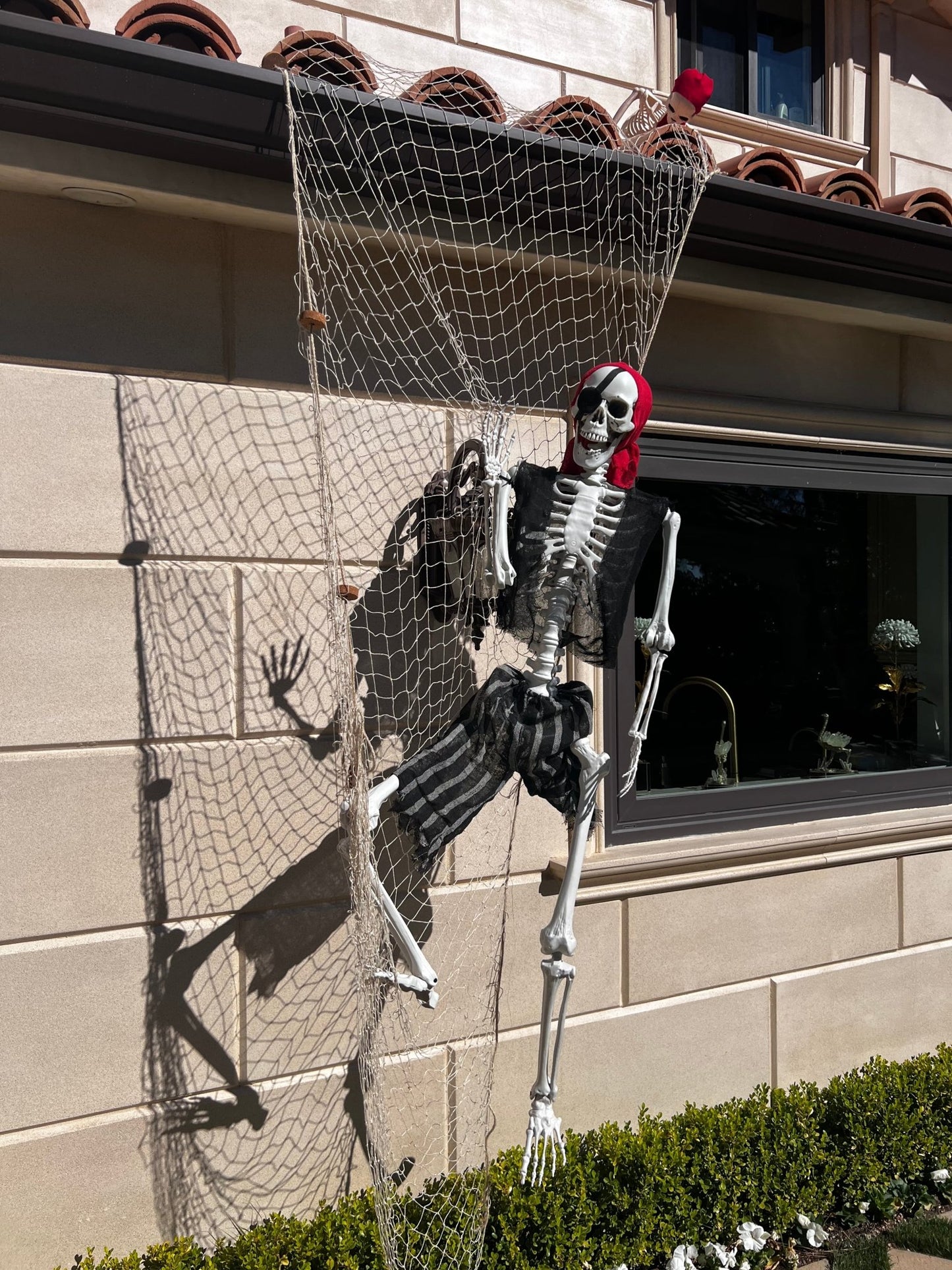Skeleton Full Body - Custom Prop Rentals