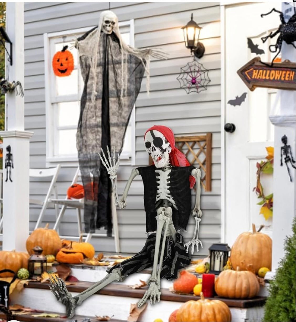 Skeleton Full Body - Custom Prop Rentals