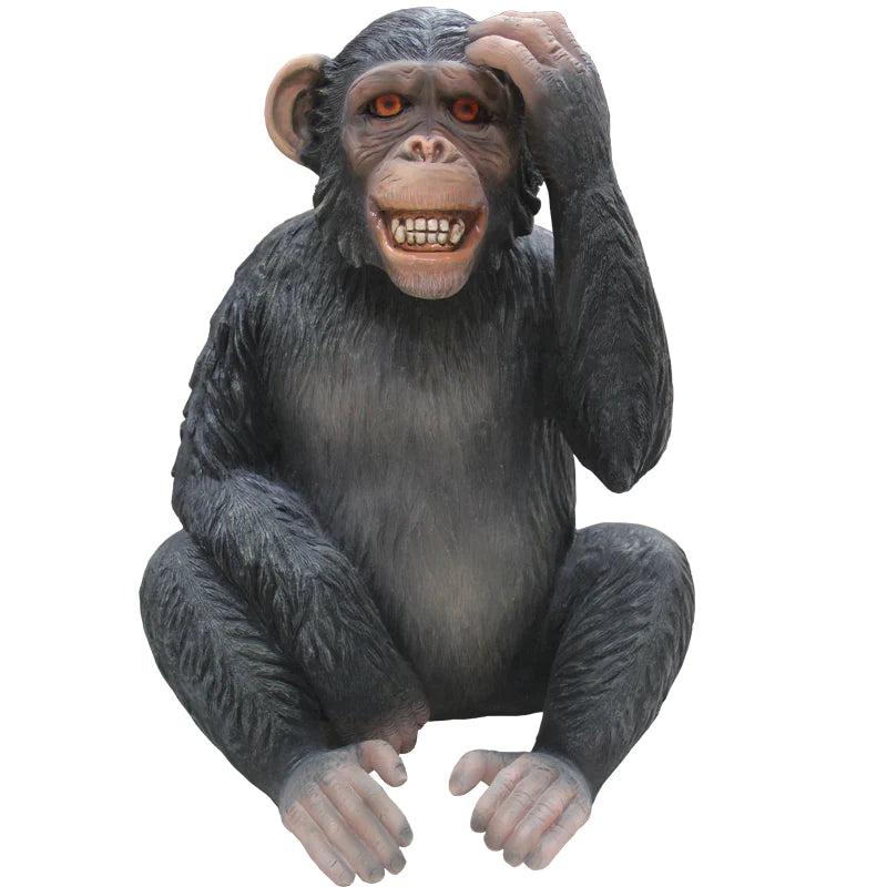 Monkey Siting Chimpanzee