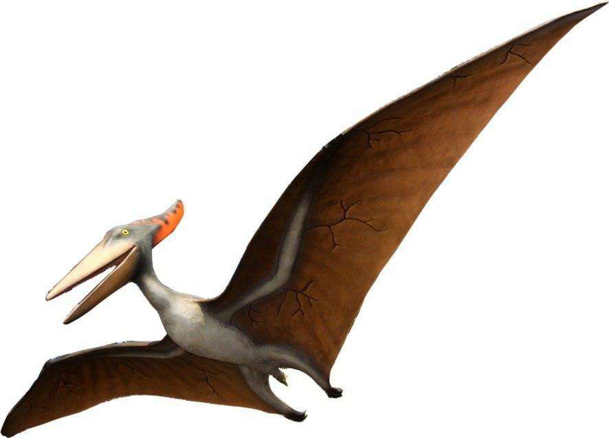 Pteranodon