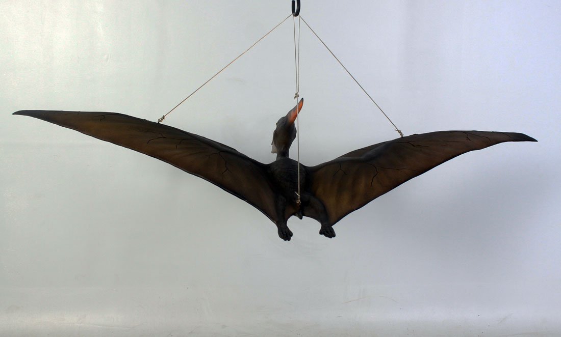 Pteranodon Baby Dinosaur