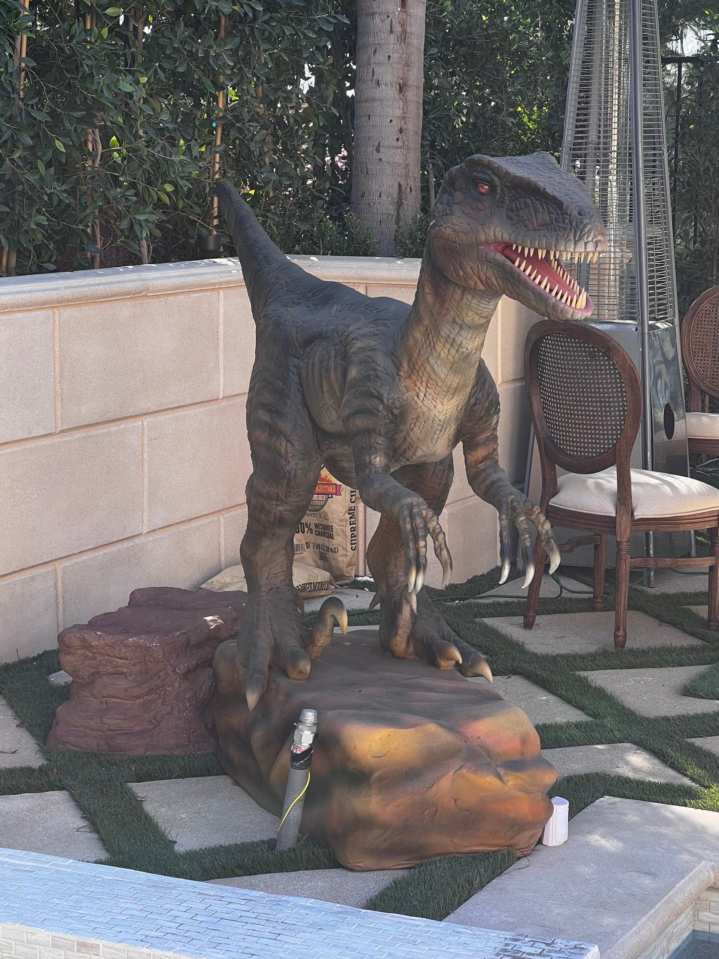 Animated Velociraptor Delta - Custom Prop Rentals
