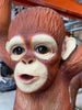 Baby Orangutan Monkey - Custom Prop Rentals