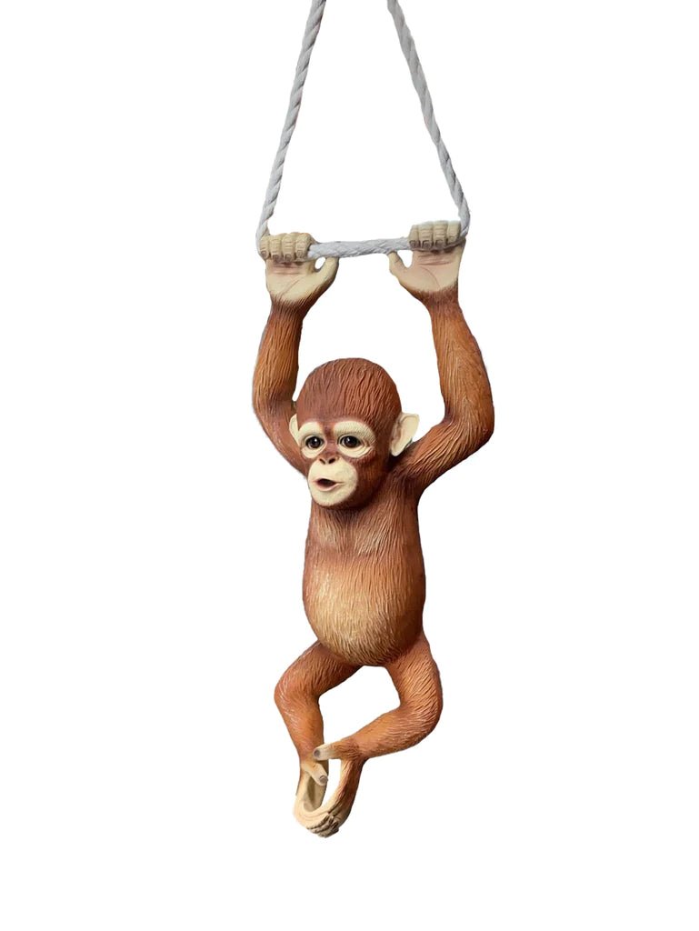 Baby Orangutan Monkey - Custom Prop Rentals