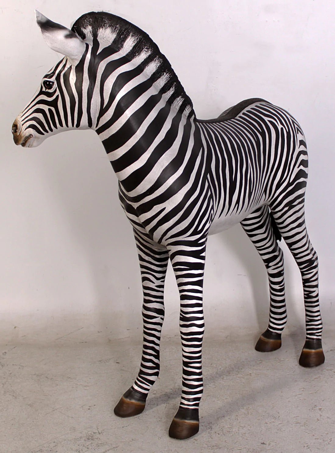 Baby Zebra - Custom Prop Rentals