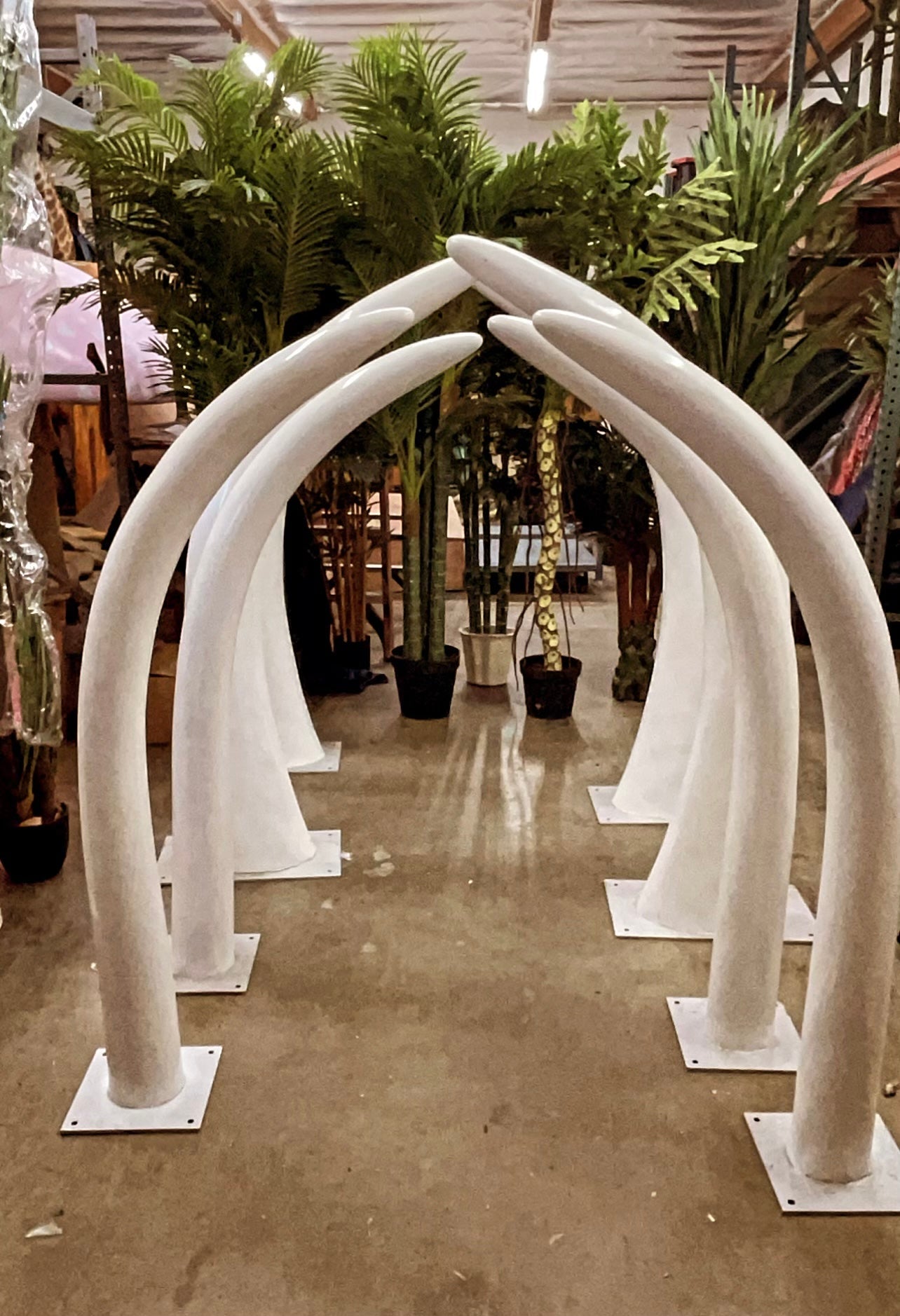 Dinosaur Ribs - Custom Prop Rentals