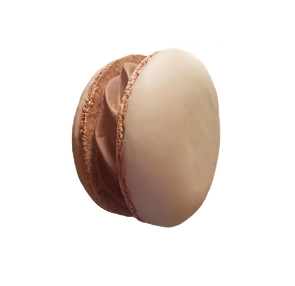 Macaroon Medium Brown - Custom Prop Rentals