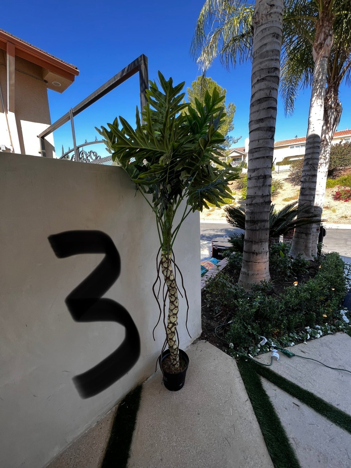Palm Assorted Trees - Custom Prop Rentals