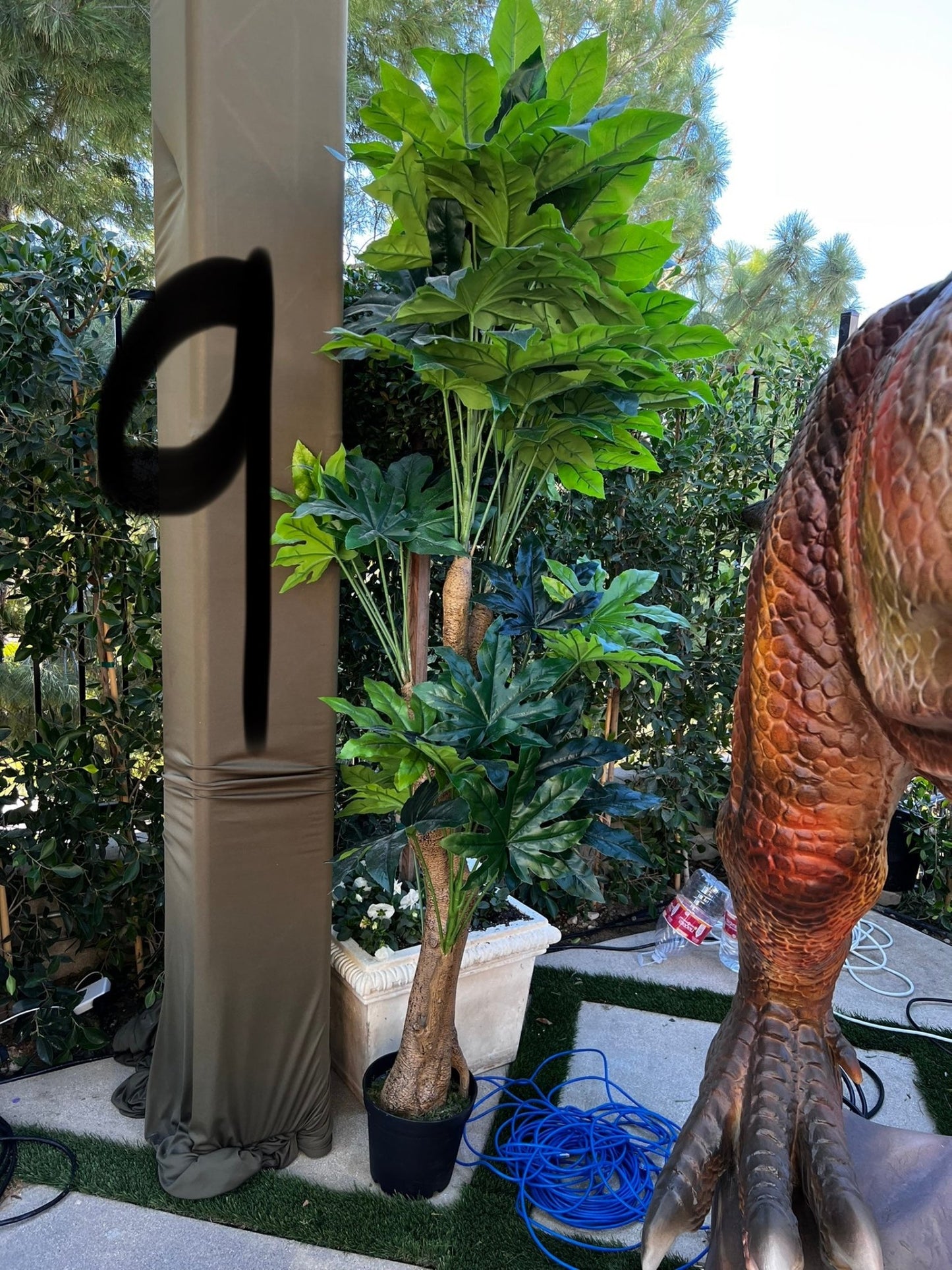 Palm Assorted Trees - Custom Prop Rentals