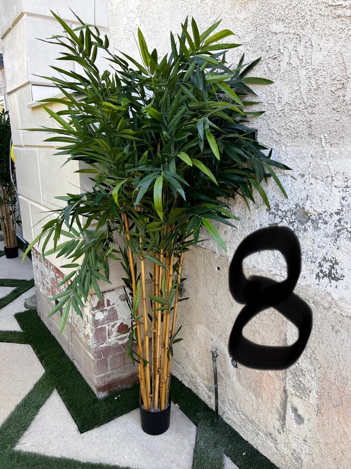 Palm Assorted Trees - Custom Prop Rentals