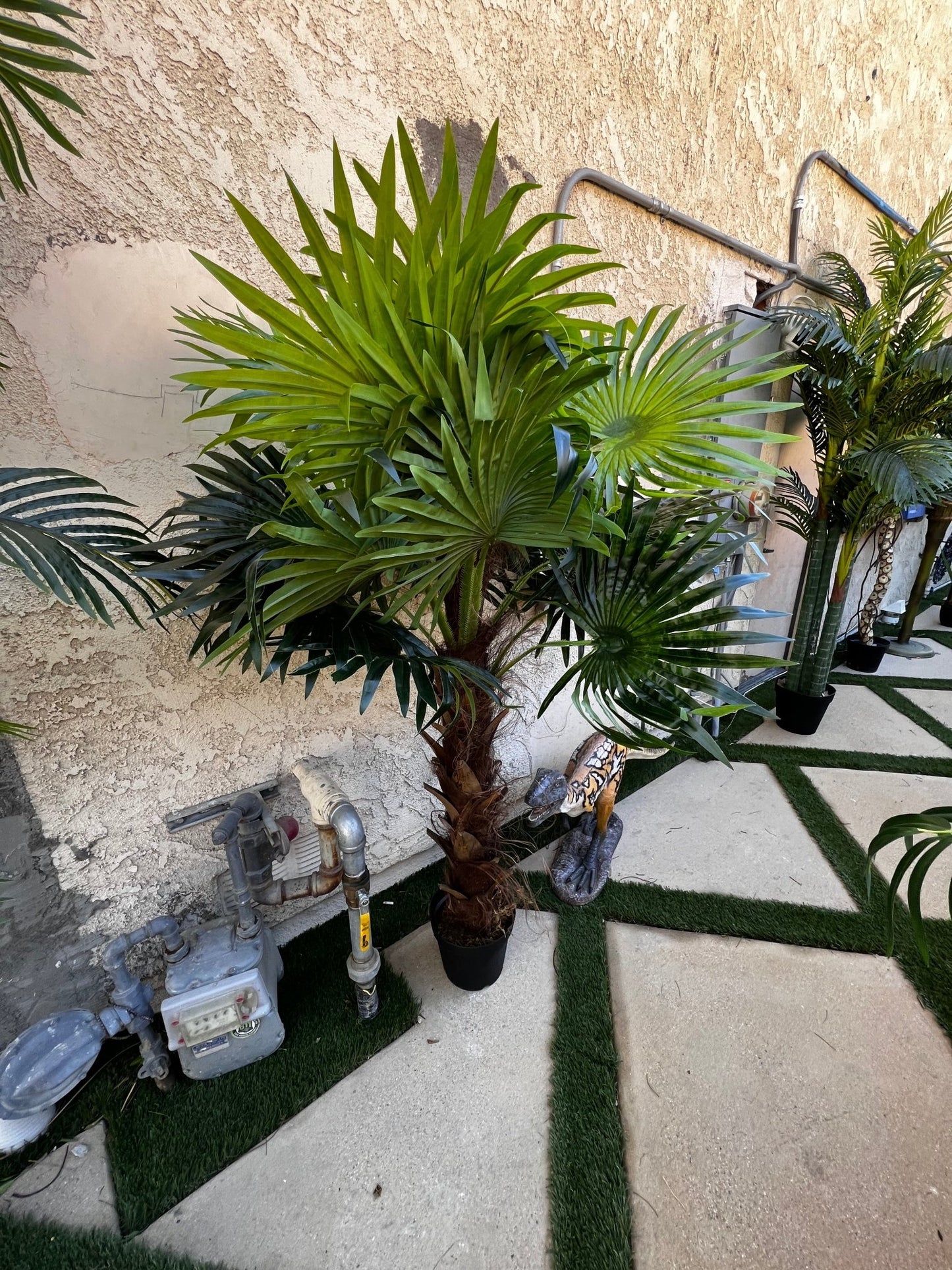 Palm Assorted Trees - Custom Prop Rentals