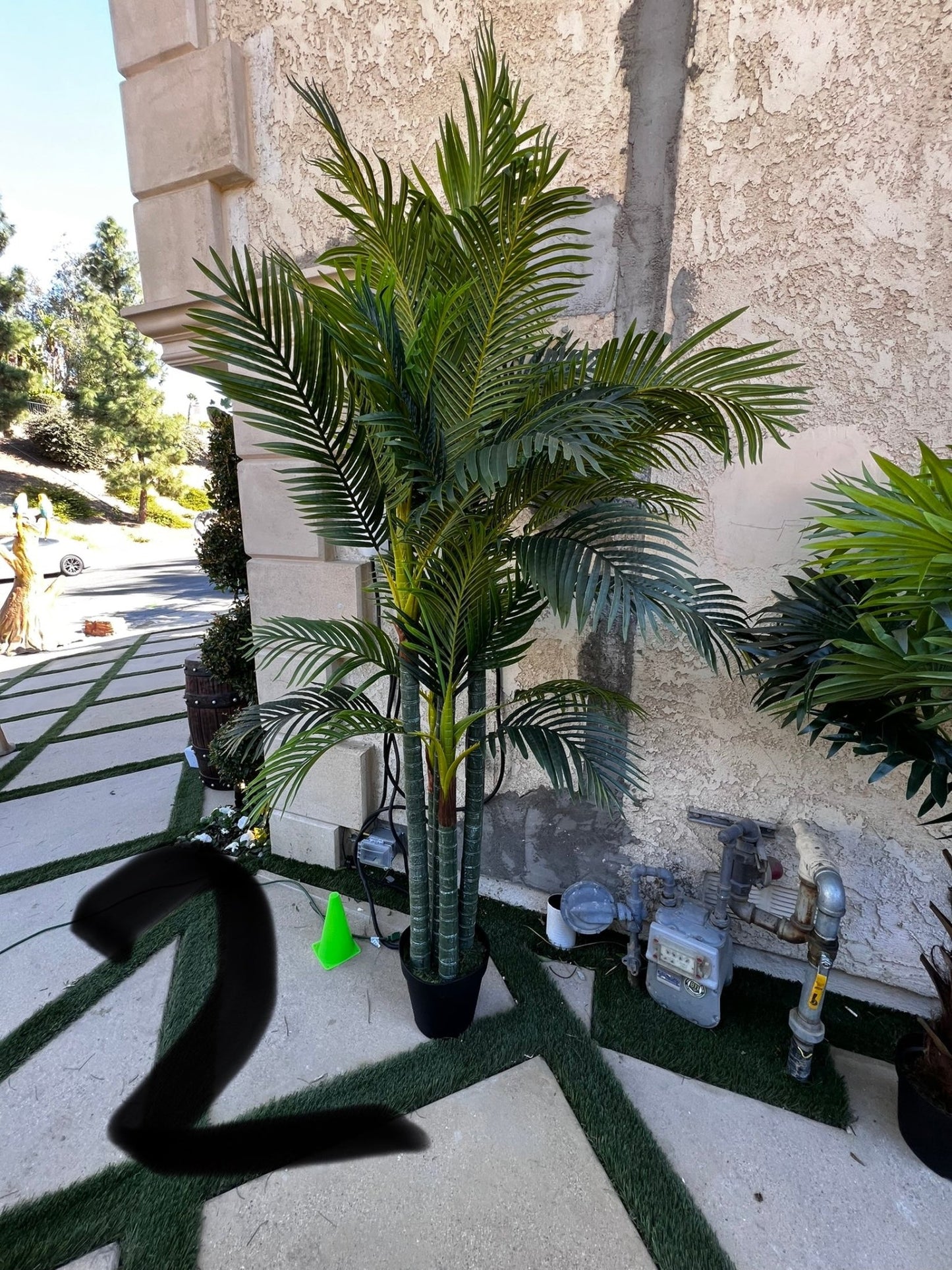 Palm Assorted Trees - Custom Prop Rentals