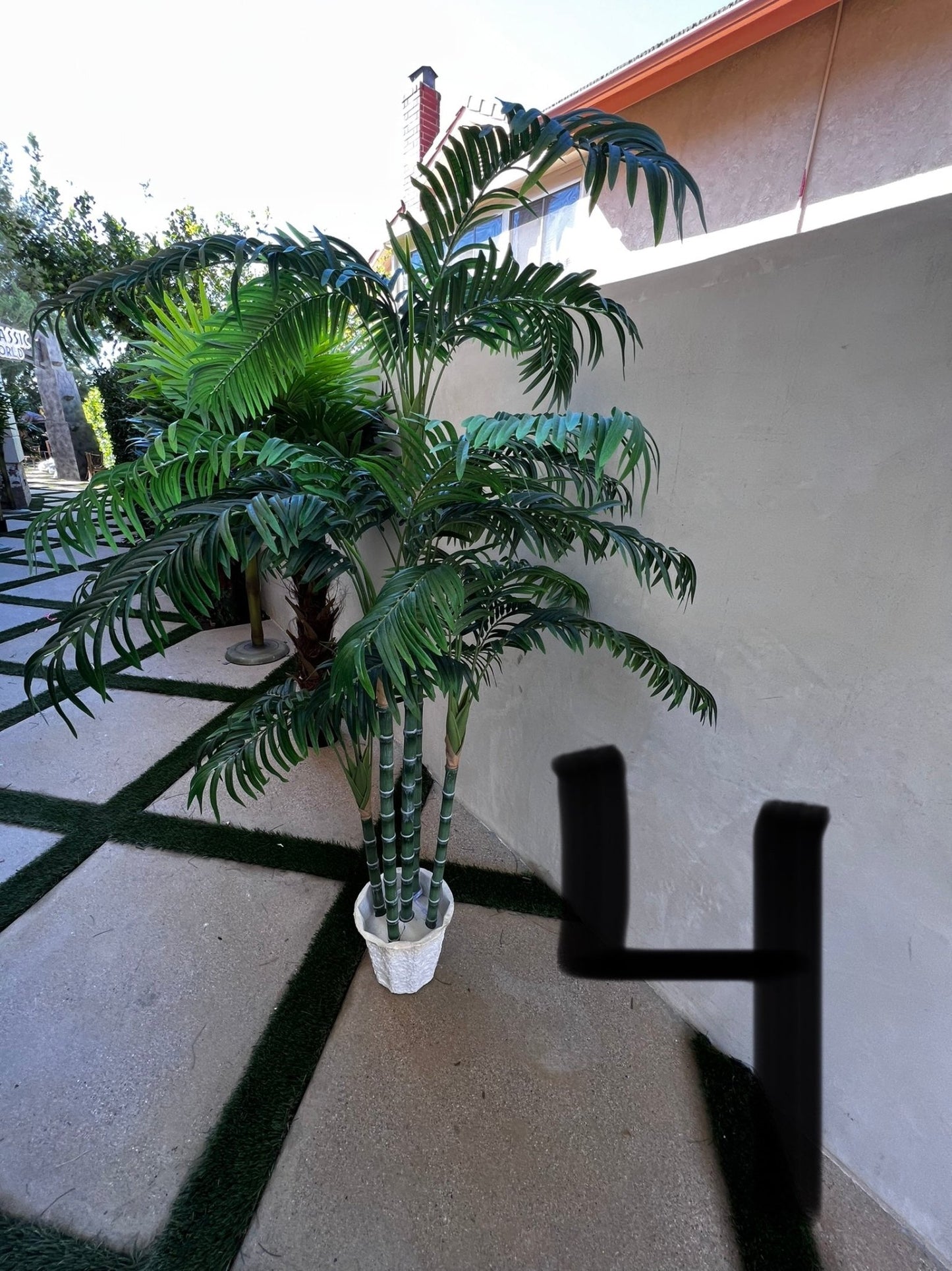 Palm Assorted Trees - Custom Prop Rentals