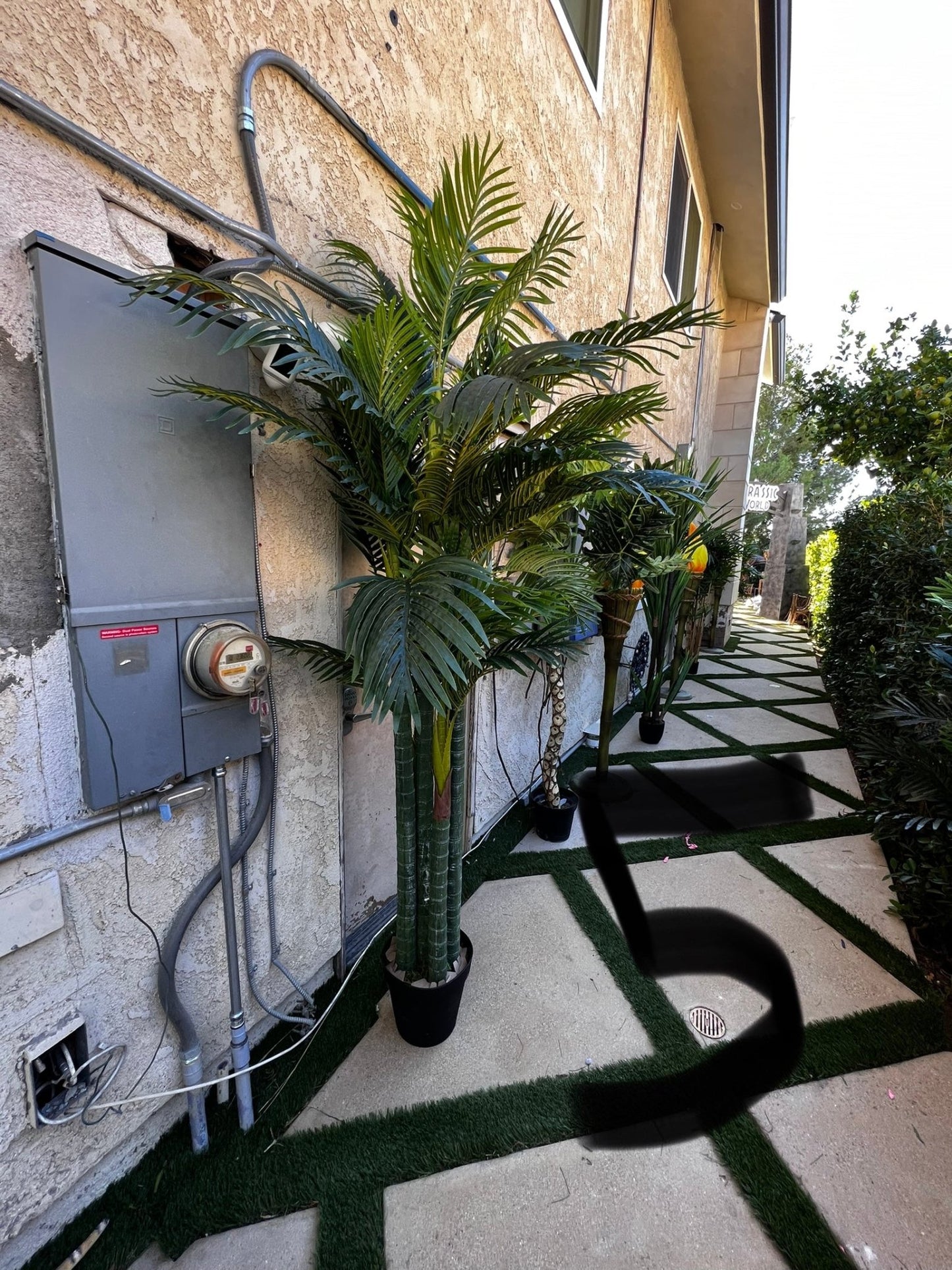 Palm Assorted Trees - Custom Prop Rentals