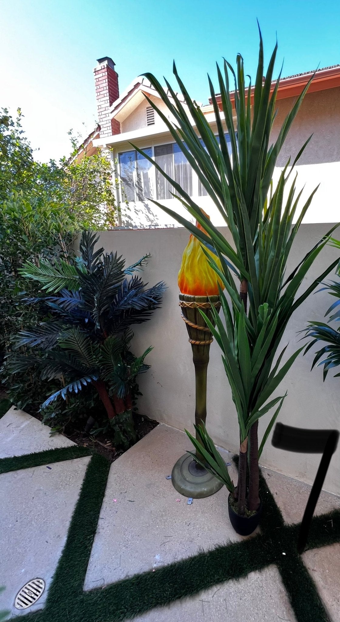 Palm Assorted Trees - Custom Prop Rentals