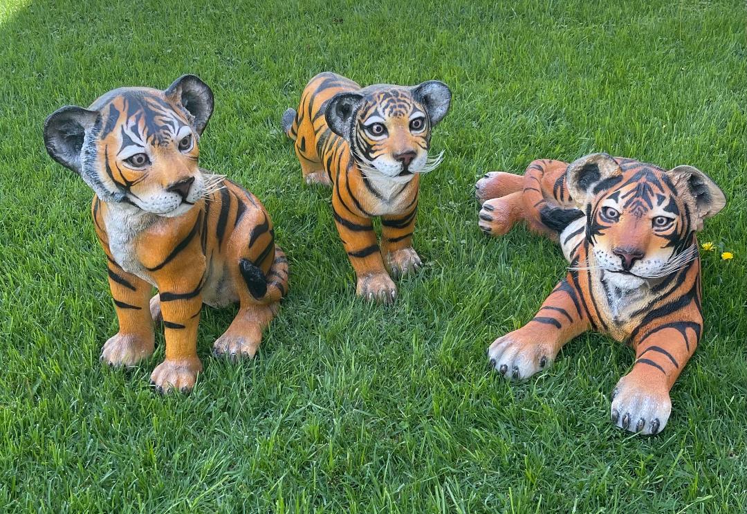 Tiger Cub Laying - Custom Prop Rentals