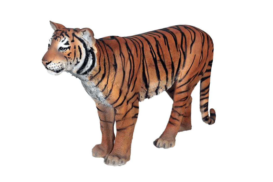 Tiger Sumatran - Custom Prop Rentals