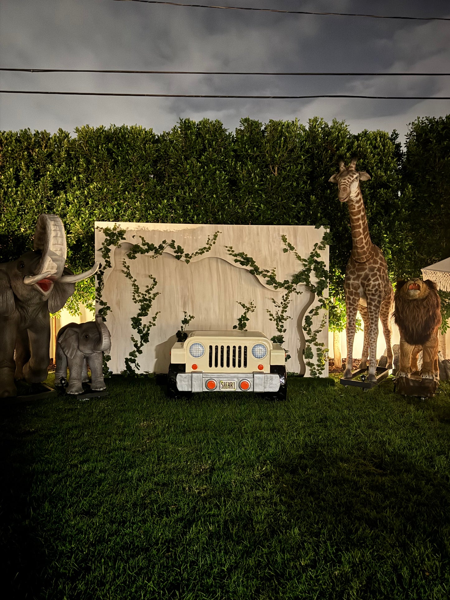 Safari Backdrop 3D