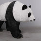 Panda Walking