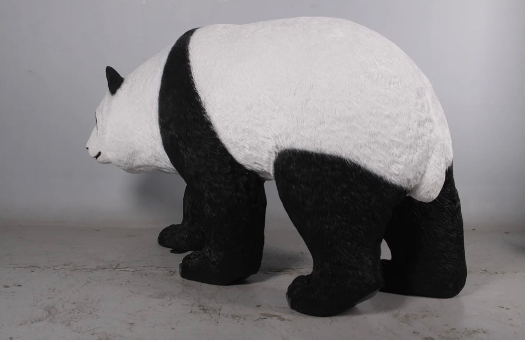 Panda Walking