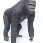 Gorilla Standing