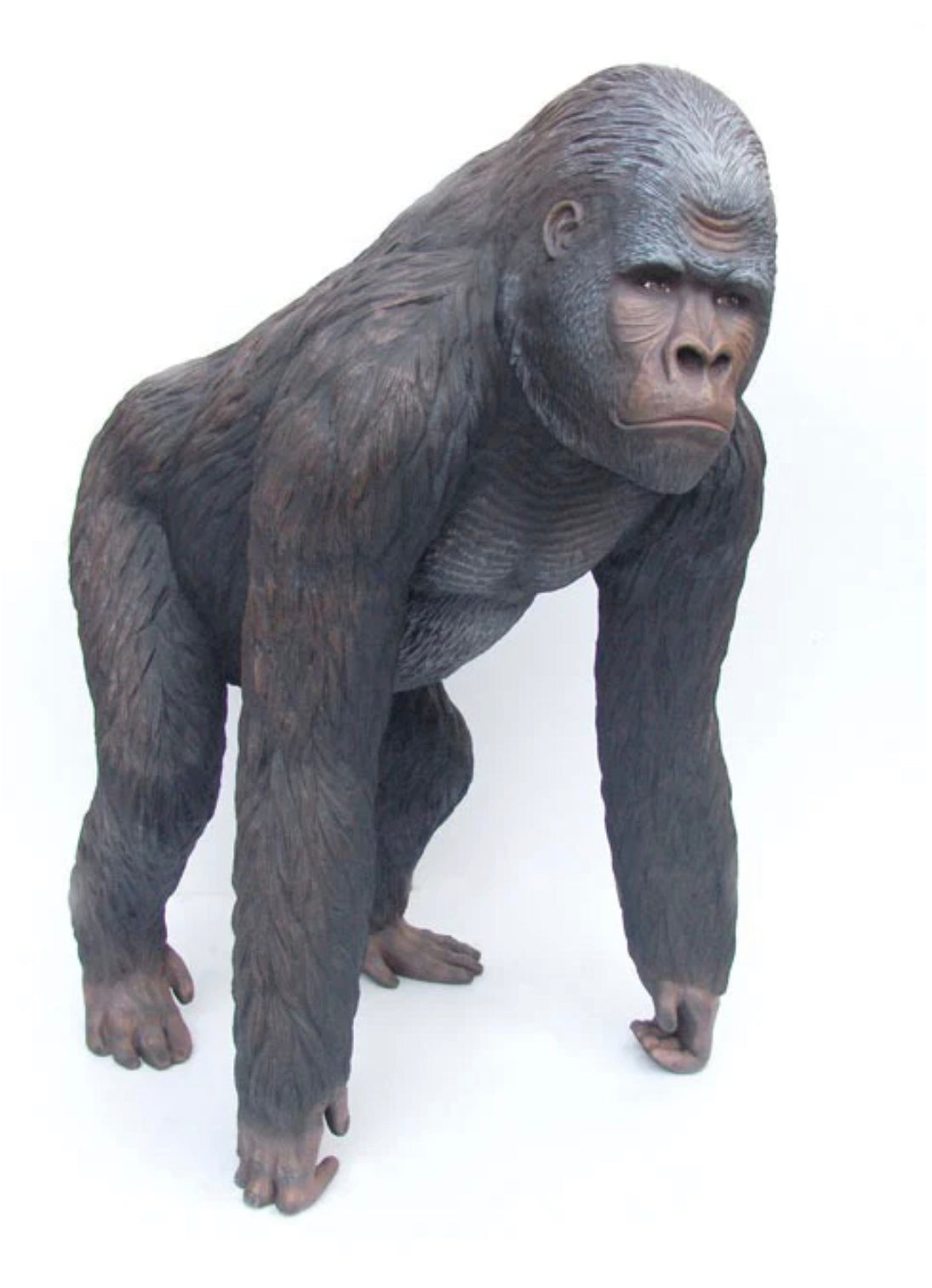 Gorilla Standing