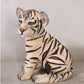 Siberian Tiger Cub Sitting