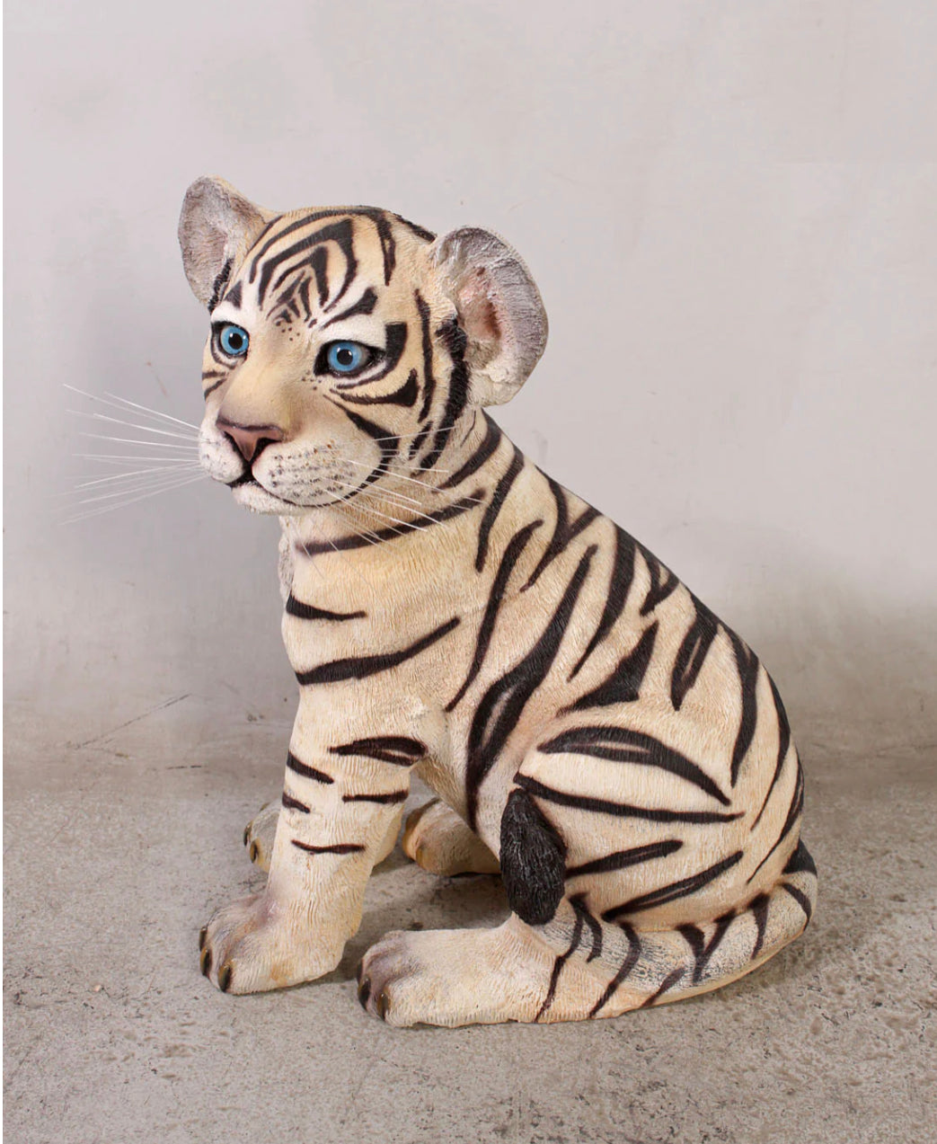 Siberian Tiger Cub Sitting