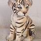 Siberian Tiger Cub Sitting