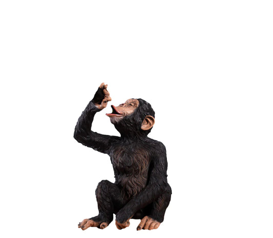 Monkey Chimpanzee Boozy