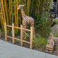 Fence Bamboo 3Ft Height