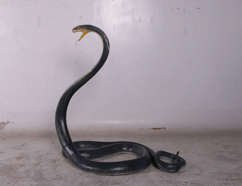 Snake King Cobra