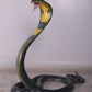 Snake King Cobra