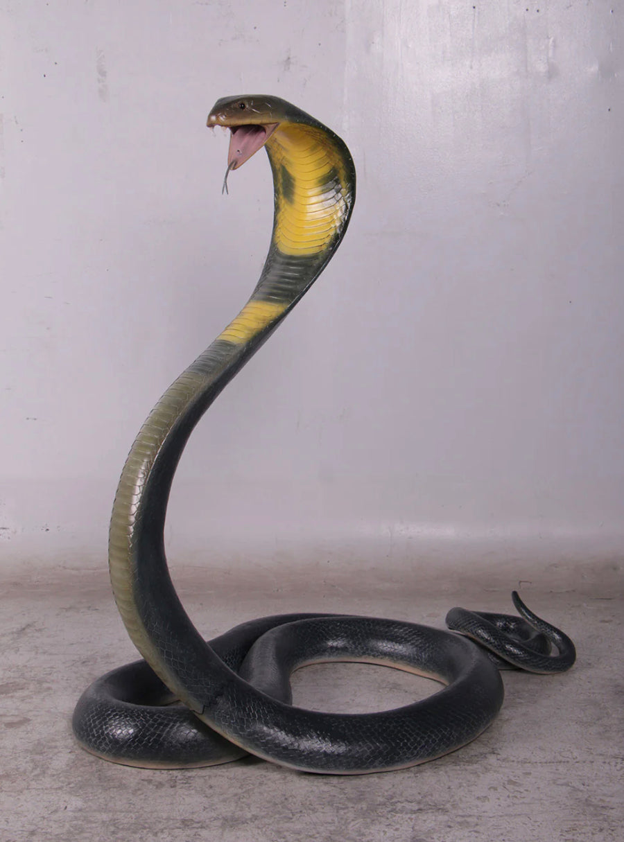 Snake King Cobra