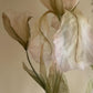 Iris Flower 6ft