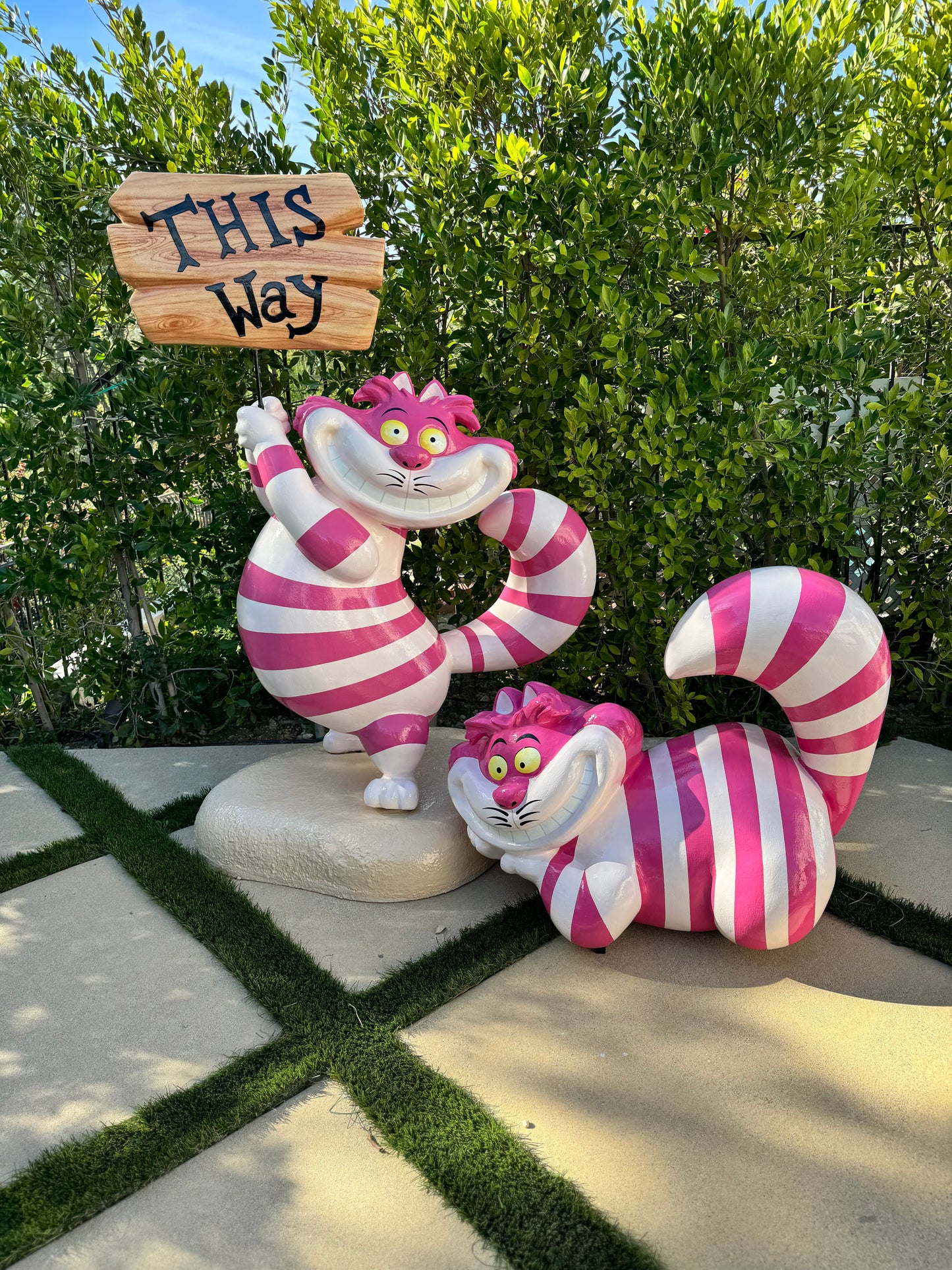 Cheshire Cat with Sign