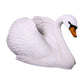 Swan Life Size White