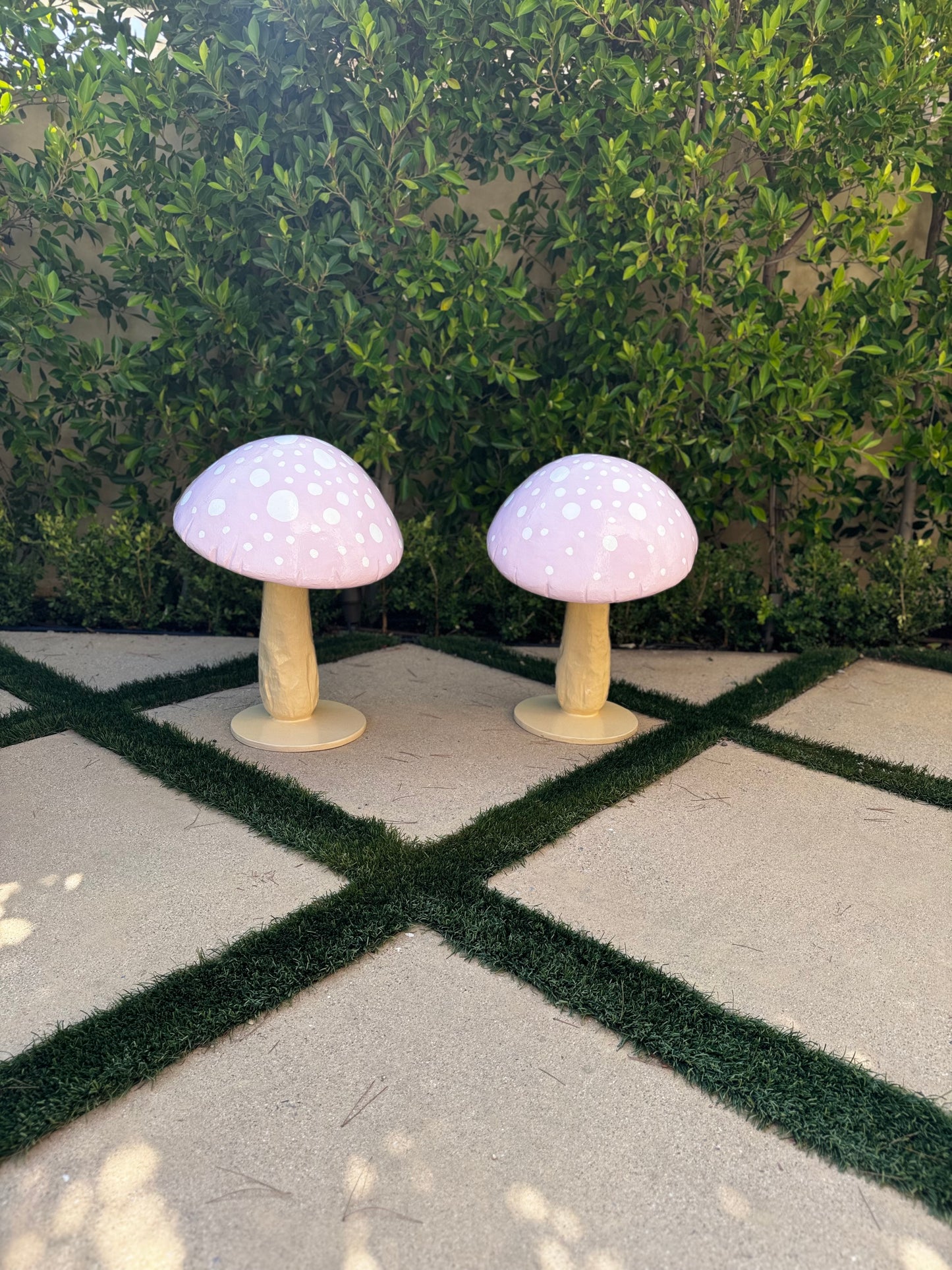 Mushroom Tilt Pink Duo